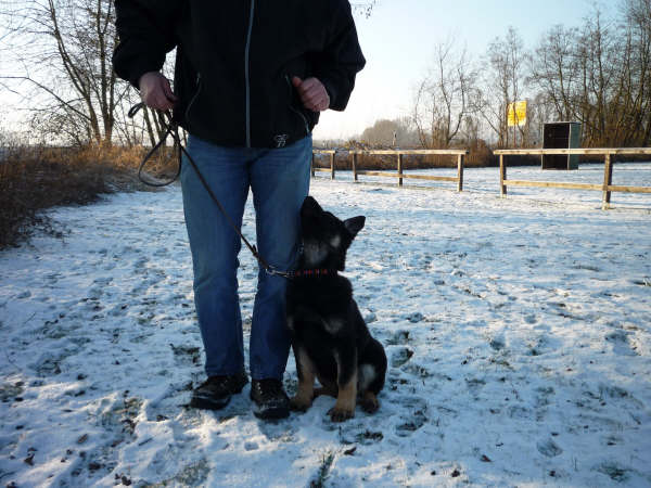 macht Spa� mit Flip