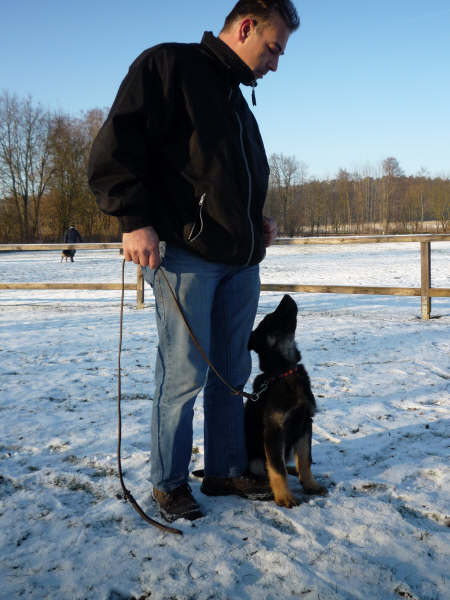 schon wie ein Gro�er