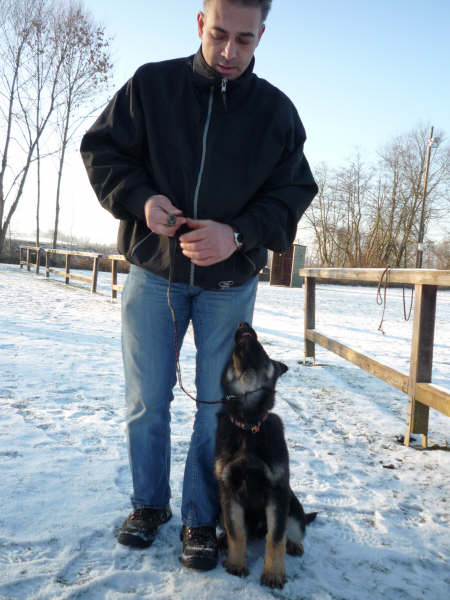 Die ersten Gehversuche klappen ganz gut