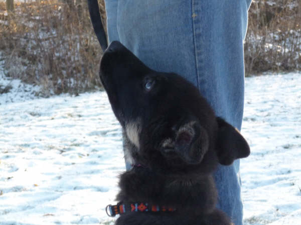 l�sst von mir nicht mehr ab